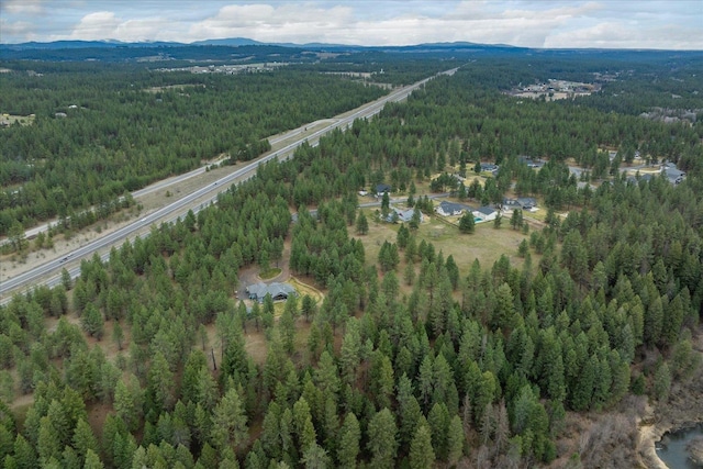 3517 E Elena Ln, Chattaroy, WA 99003 - photo 33