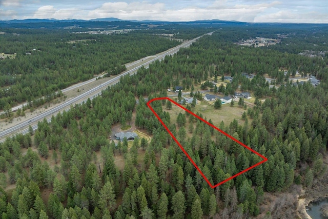 3517 E Elena Ln, Chattaroy, WA 99003 - photo 34