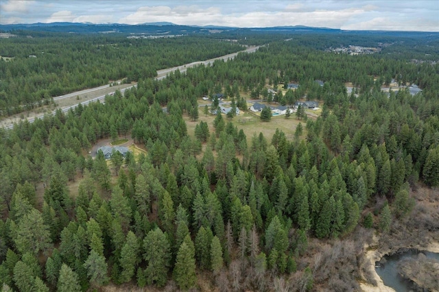 3517 E Elena Ln, Chattaroy, WA 99003 - photo 36