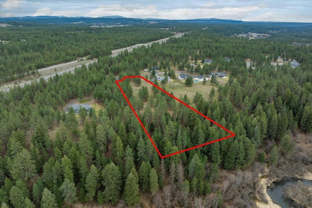 3517 E Elena Ln, Chattaroy, WA 99003 - photo 37