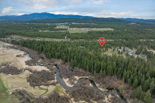 3517 E Elena Ln, Chattaroy, WA 99003 - photo 38