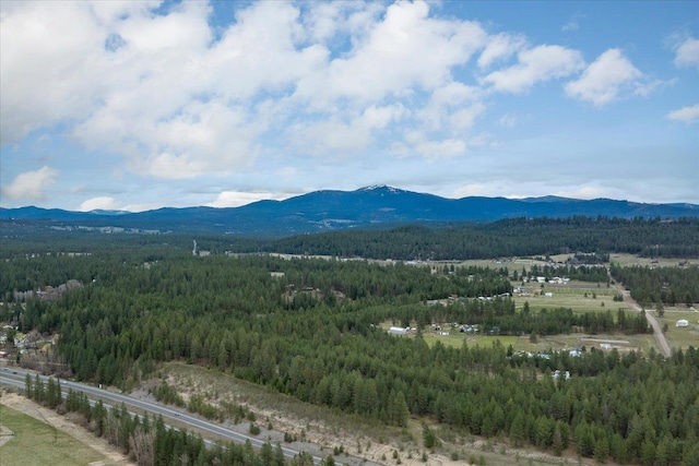 3517 E Elena Ln, Chattaroy, WA 99003 - photo 39