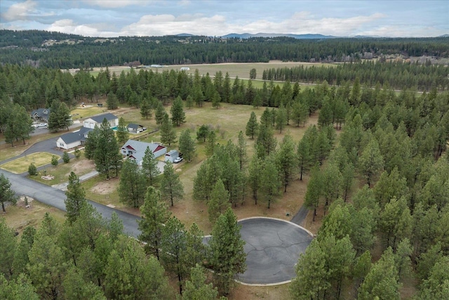 3517 E Elena Ln, Chattaroy, WA 99003 - photo 6