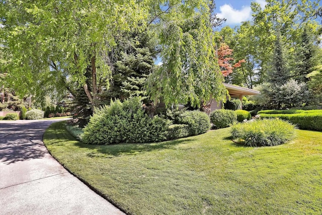 4402 S Saint Andrews Ln, Spokane, WA 99223 - view of grassy yard