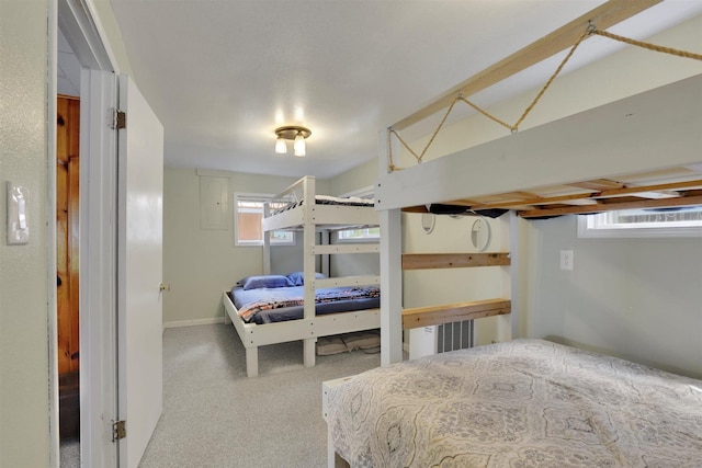 22704 E Park Beach Rd, Newman Lake, WA 99025 - bedroom with electric panel and carpet floors