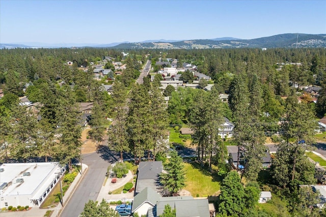 956 E 30th Ave, Spokane, WA 99203 - photo 43