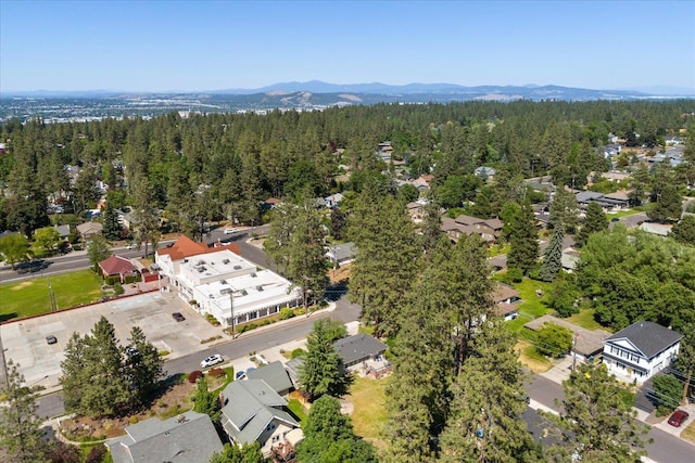 956 E 30th Ave, Spokane, WA 99203 - photo 44