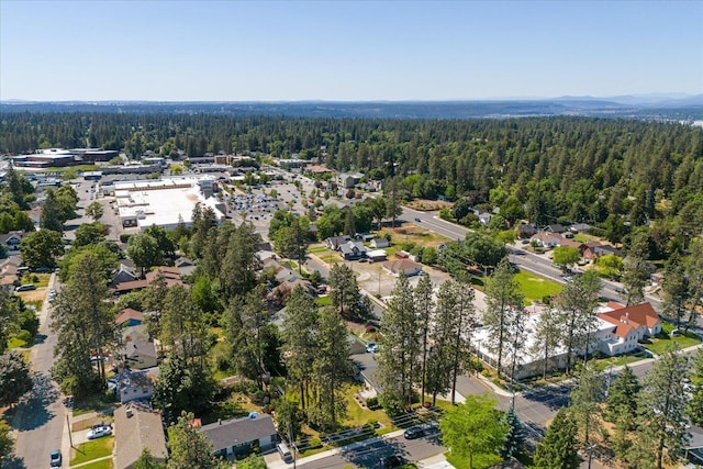 956 E 30th Ave, Spokane, WA 99203 - photo 46
