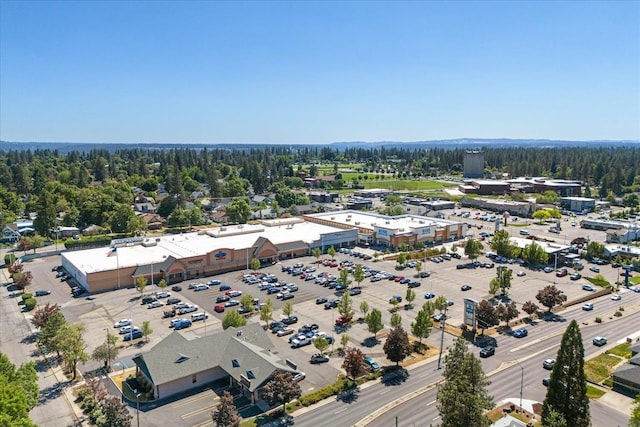956 E 30th Ave, Spokane, WA 99203 - photo 47