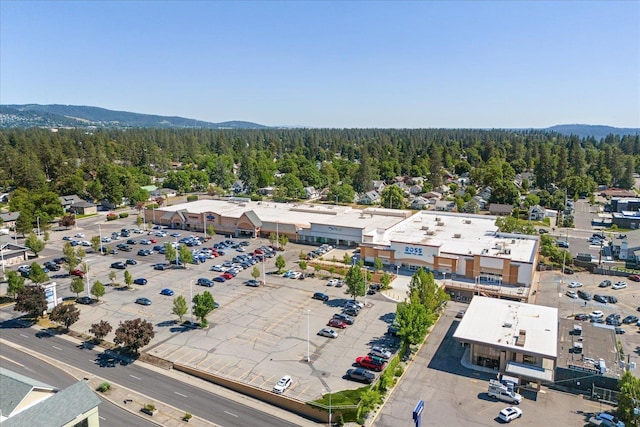 956 E 30th Ave, Spokane, WA 99203 - photo 48