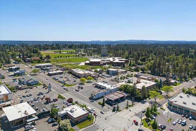 956 E 30th Ave, Spokane, WA 99203 - photo 49