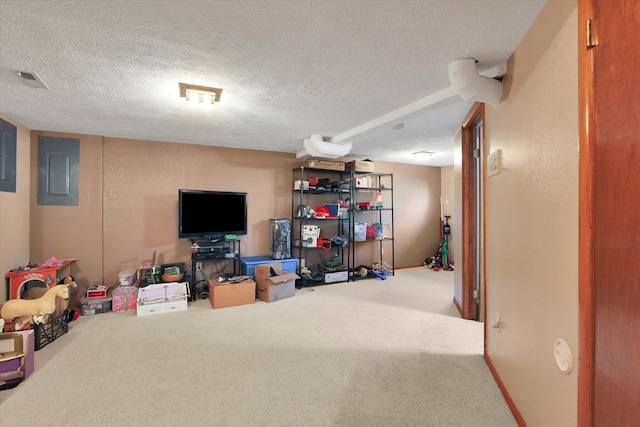10612 E 46th Ave, Spokane Valley, WA 99206 - recreation room with electric panel, carpet floors, and a textured ceiling