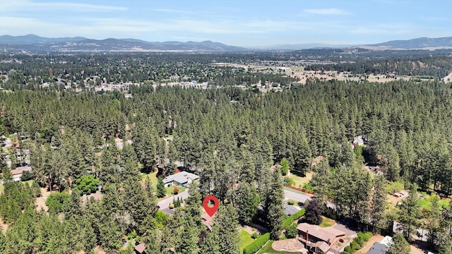 10612 E 46th Ave, Spokane Valley, WA 99206 - aerial overview of property's location with a mountain backdrop