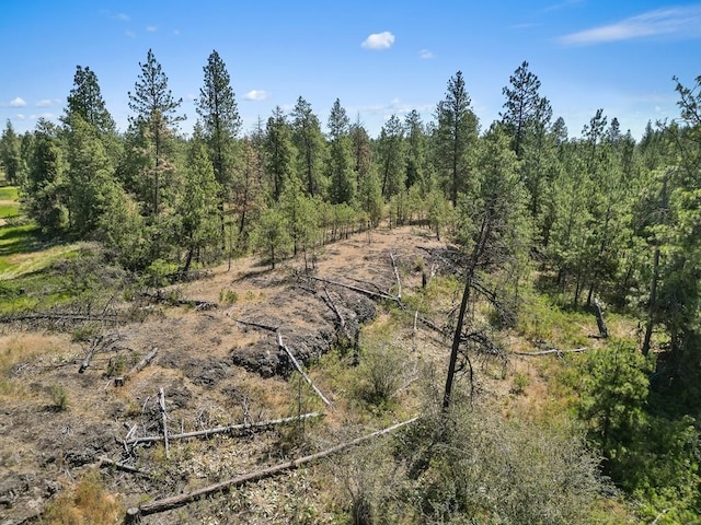 NKA S Sherman Rd Unit 24354.9123, Spokane, WA 99224 - photo 5