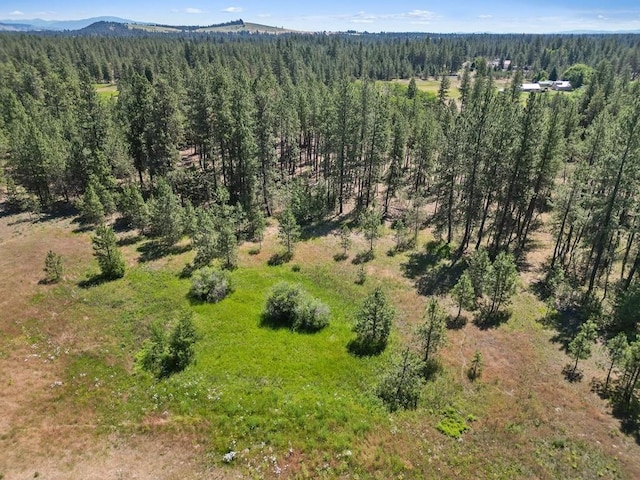 NKA S Sherman Rd Unit 24354.9123, Spokane, WA 99224 - photo 6
