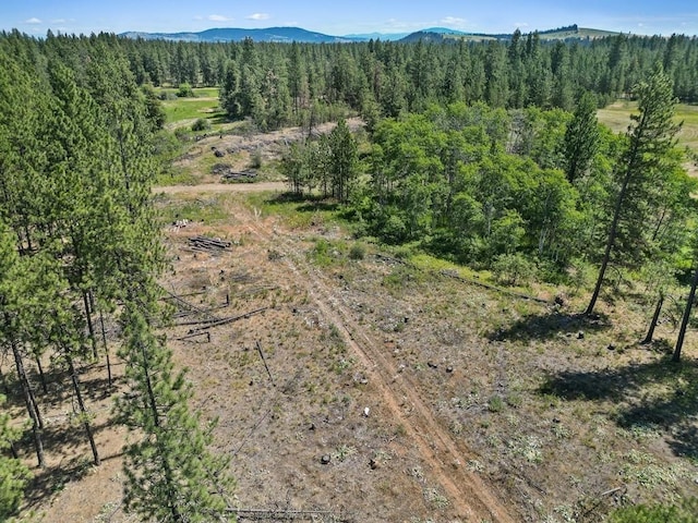 NKA S Sherman Rd Unit 24354.9123, Spokane, WA 99224 - photo 7