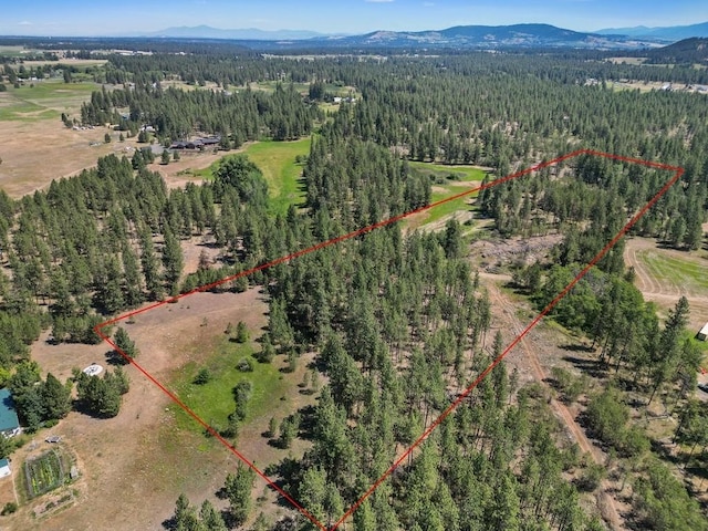 NKA S Sherman Rd Unit 24354.9123, Spokane, WA 99224 - photo 8