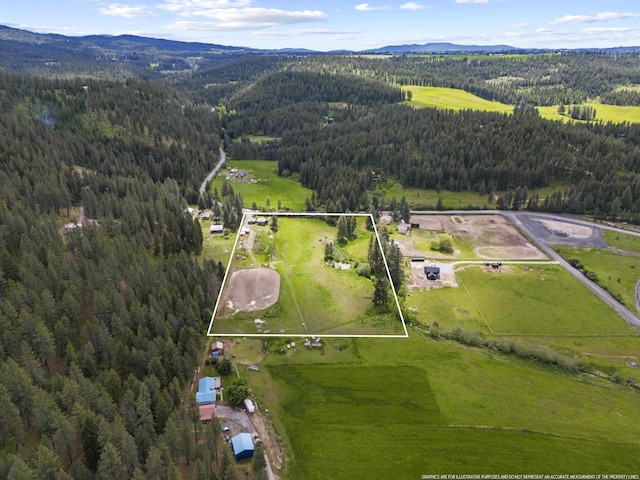 15906 N Forker Rd, Spokane, WA 99217 - view of property location with property parcel outlined