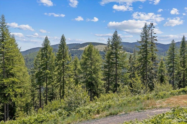 28600 N Mt Spokane Park Dr Unit 612, Mead, WA 99021 - view of mountain background with a forest