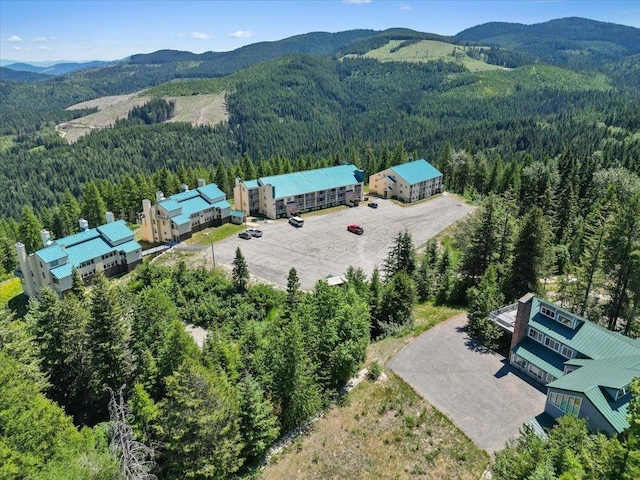 28600 N Mt Spokane Park Dr Unit 612, Mead, WA 99021 - aerial view of a heavily wooded area and a mountain backdrop