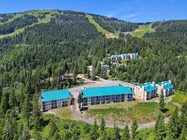 28600 N Mt Spokane Park Dr Unit 612, Mead, WA 99021 - aerial view of a forest and a mountain backdrop
