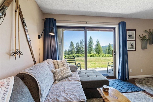 28600 N Mt Spokane Park Dr Unit 612, Mead, WA 99021 - living area with a textured ceiling and wood finished floors