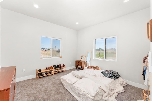 25751 Westfield Ln, Davenport, WA 99122 - bedroom featuring carpet floors and recessed lighting