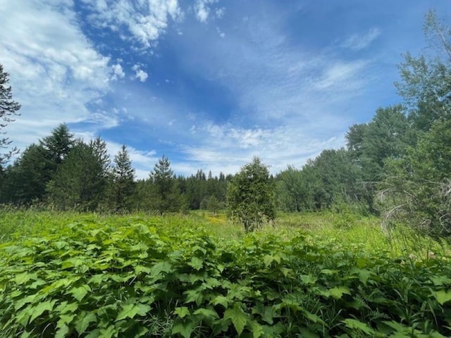 600 Huntley Ln, Newport, WA 99156 - photo 3