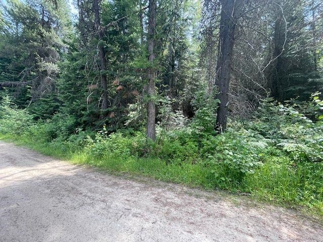 600 Huntley Ln, Newport, WA 99156 - photo 6