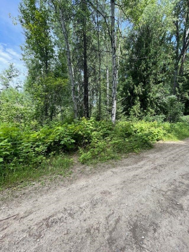 600 Huntley Ln, Newport, WA 99156 - photo 7