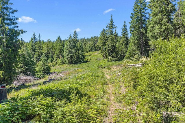 1022 Spring Hill Rd, Newport, WA 99156