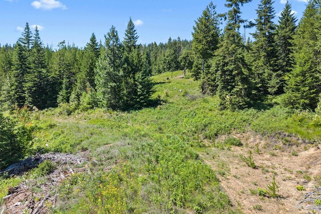 1022 Spring Hill Rd, Newport, WA 99156