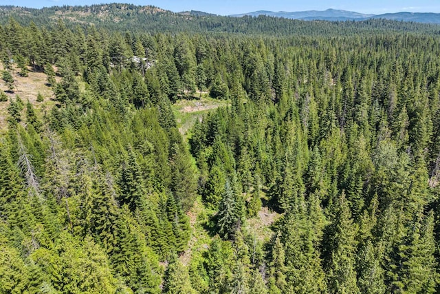 1022 Spring Hill Rd, Newport, WA 99156