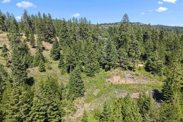1022 Spring Hill Rd, Newport, WA 99156