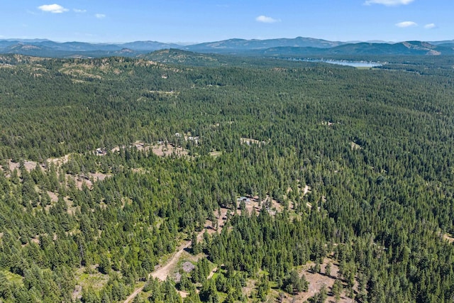 1022 Spring Hill Rd, Newport, WA 99156