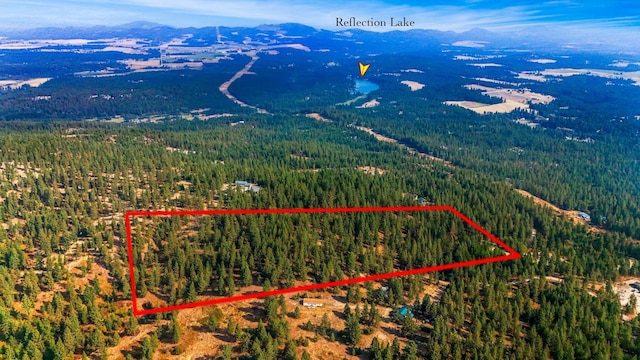NKA N Waldrons Ln, Chattaroy, WA 99003 - photo 1