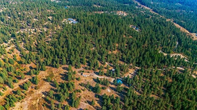 NKA N Waldrons Ln, Chattaroy, WA 99003 - photo 12