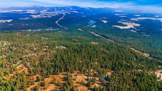 NKA N Waldrons Ln, Chattaroy, WA 99003 - photo 13
