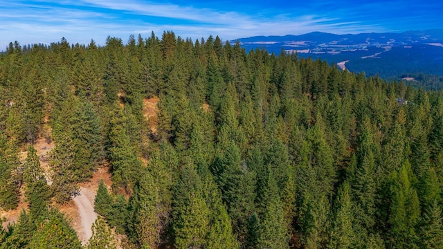 NKA N Waldrons Ln, Chattaroy, WA 99003 - photo 22