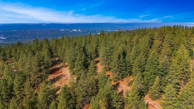 NKA N Waldrons Ln, Chattaroy, WA 99003 - photo 25