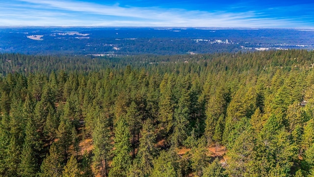 NKA N Waldrons Ln, Chattaroy, WA 99003 - photo 26