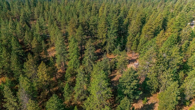 NKA N Waldrons Ln, Chattaroy, WA 99003 - photo 27