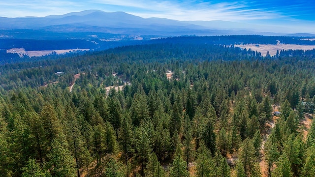 NKA N Waldrons Ln, Chattaroy, WA 99003 - photo 30