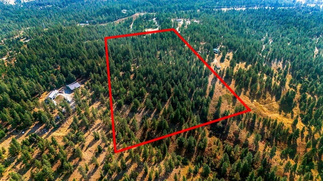 NKA N Waldrons Ln, Chattaroy, WA 99003 - photo 5