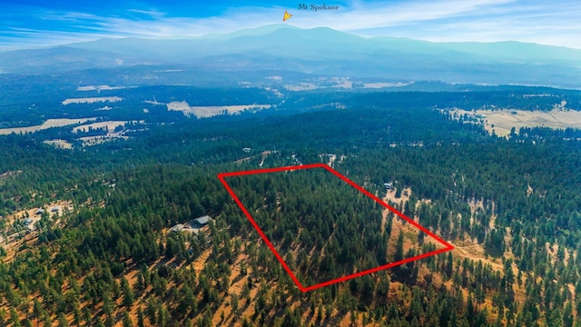NKA N Waldrons Ln, Chattaroy, WA 99003 - photo 8