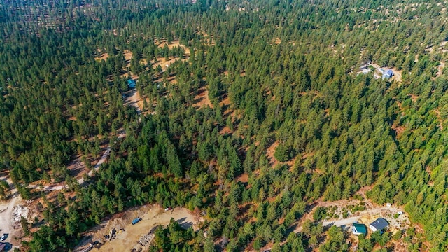NKA N Waldrons Ln, Chattaroy, WA 99003 - photo 10