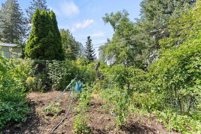 3827 E Funk Ave, Spokane, WA 99223 - view of yard
