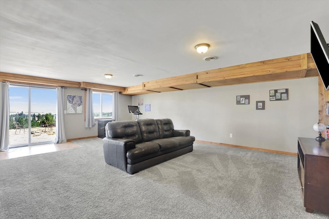36127 N Hart Rd, Davenport, WA 99122 - living area featuring carpet floors and baseboards