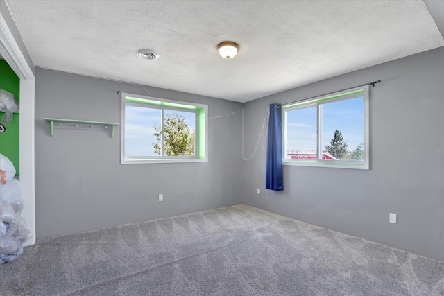 36127 N Hart Rd, Davenport, WA 99122 - view of carpeted empty room