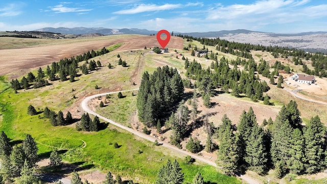 36127 N Hart Rd, Davenport, WA 99122 - view of rural area with a mountainous background